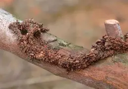 蛾?捜呑M?C箒お?Po@哱鎗C